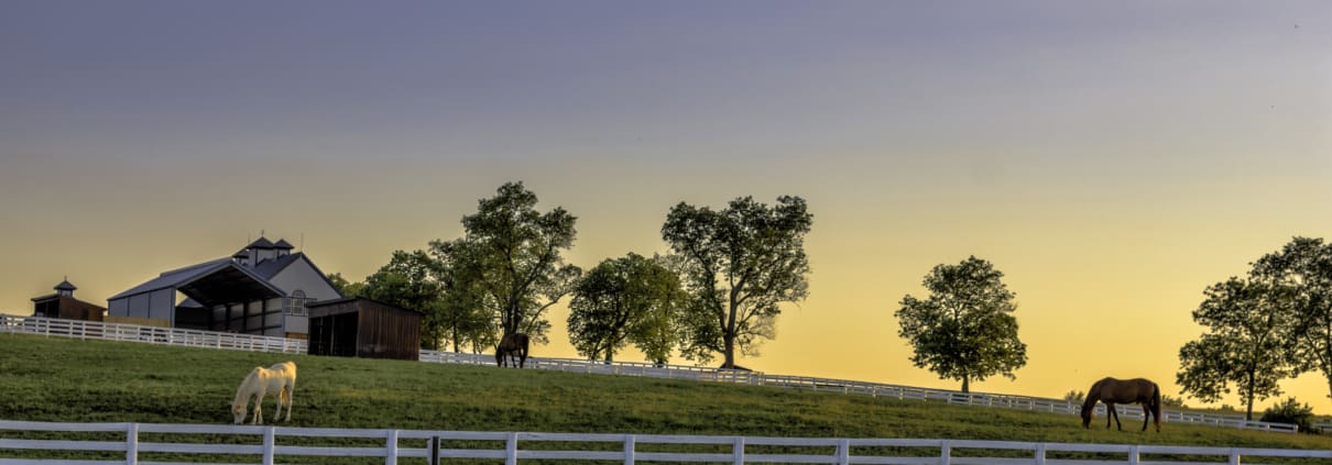 Kentucky farm at sunrise