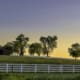 Kentucky farm at sunrise